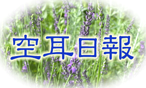 空耳日報