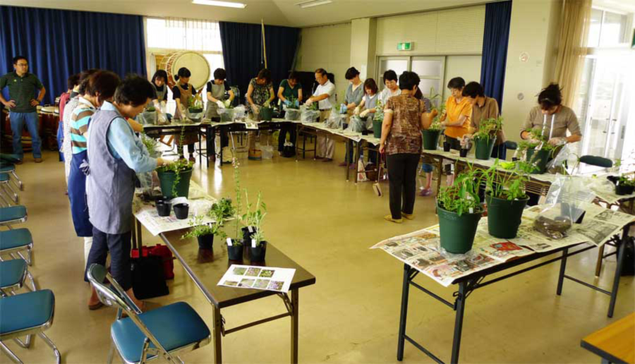 飯梨公民館寄せ植え講習