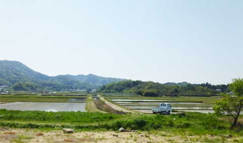 目の前に広がる田園風景