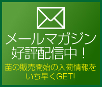 メールマガジン配信中