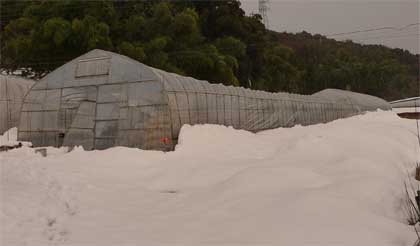 2011年の年初めの大雪