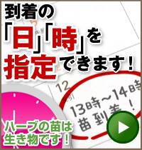 日時を指定して受け取れます