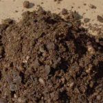 容器栽培で使う土はどんな配合がよいのでしょうか