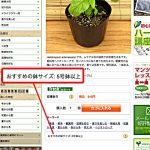 ローズマリーとミント、タイムを植える鉢のサイズは？