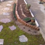 アジュガの株分けは必要でしょうか