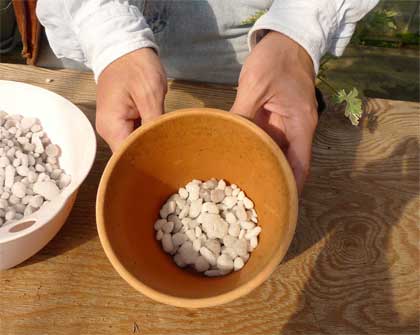 素焼き鉢に植えてみよう 初心者のためのハーブ講座 ハーブ苗の通販 無農薬 安心の専門店 Soramimiハーブショップ