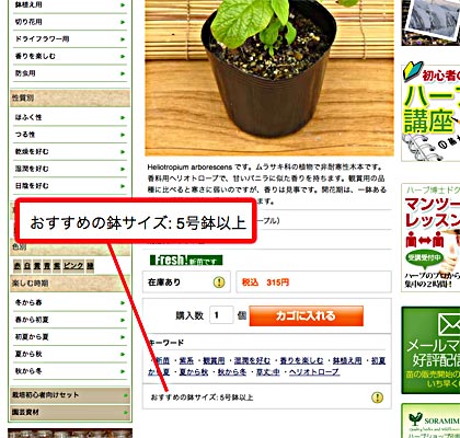 鉢のサイズ選び 初心者のためのハーブ講座 ハーブ苗の通販 無農薬 安心の専門店 Soramimiハーブショップ