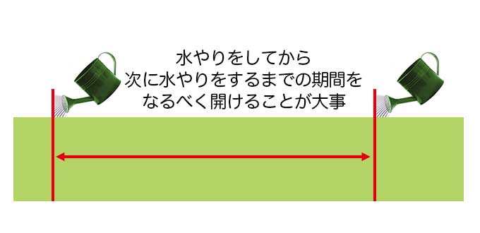 水やりの期間を開ける