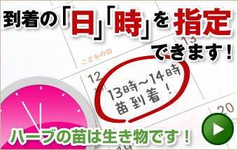 日時指定可能です