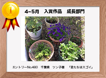  フォトコンテストエントリーNo.480　 千葉県　ツン子様　 成長部門   「君たちはスゴイ」