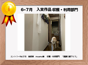  フォトコンテストエントリーNo.518　 島根県　muumu様　 収穫・利用部門   「風薫る廊下にて」