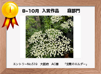  フォトコンテストエントリーNo.519　 大阪府　AC様　 庭部門   「玄関のエルダー」