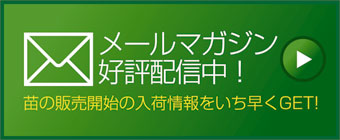 メールマガジン配信中