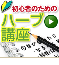 初心者のためのハーブ講座